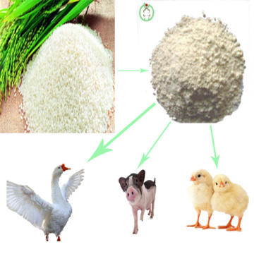 Feed Grade Rice Protein Meal Animal Feed Rice Protein Powder